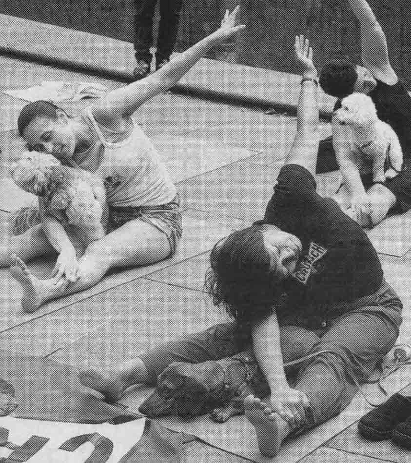 Йога для собак и для ленивых домохозяек в США