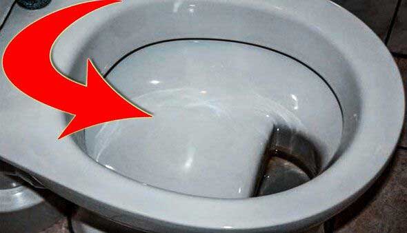 хороший унитаз для кошки, приучаем ходить в туалет сюда