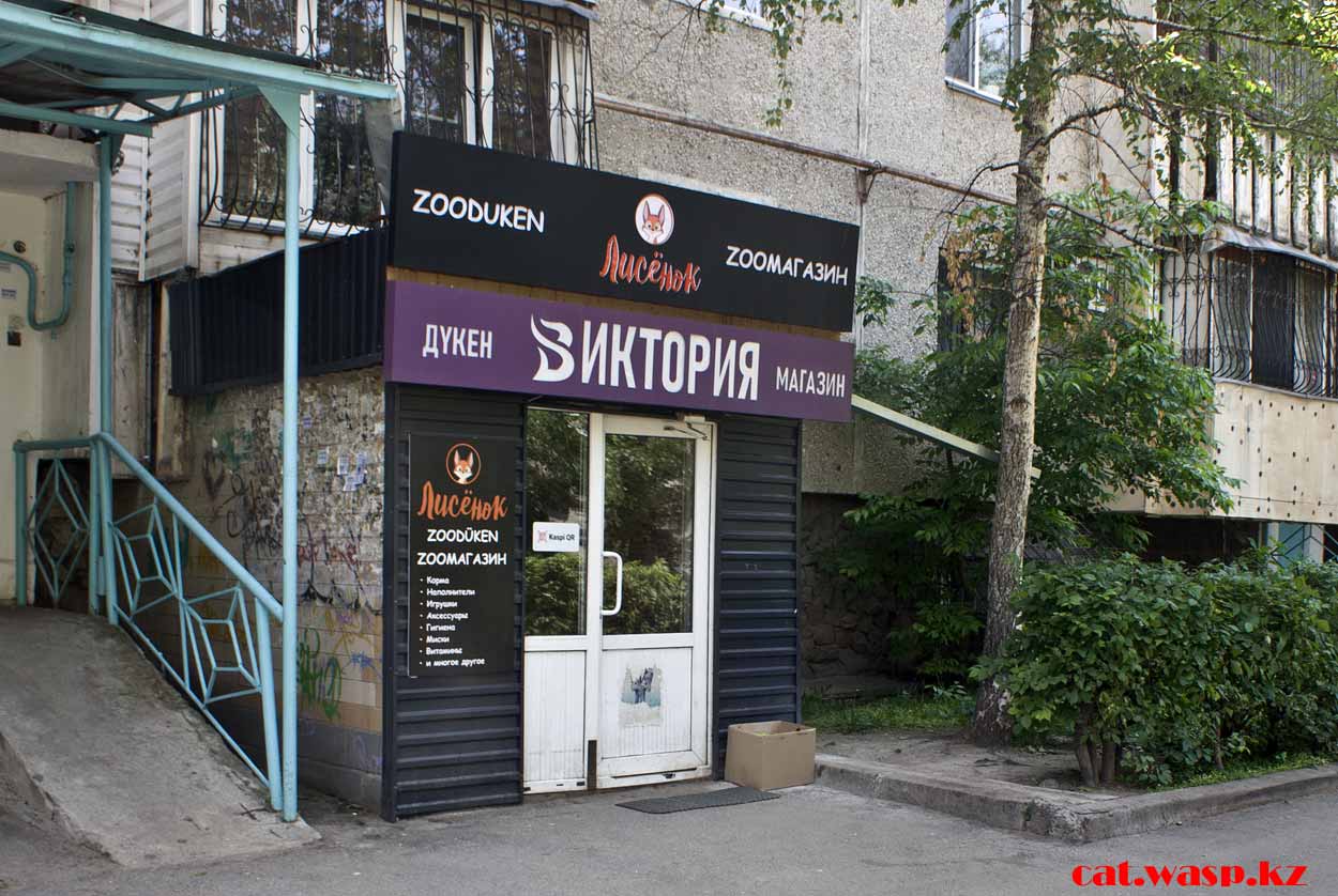 зоомагазин Лисёнок в Алматы по улице Навои напротив Орбита-2 отзыв